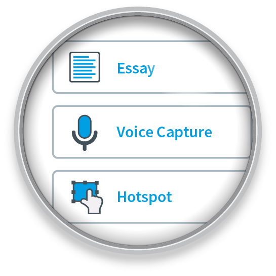 Essay, Audio and Image Hotspot exam question types